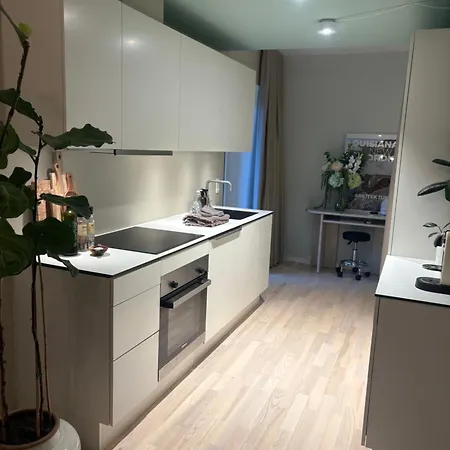 Апартаменты Calm And Moderen Close To Center Копенгаген